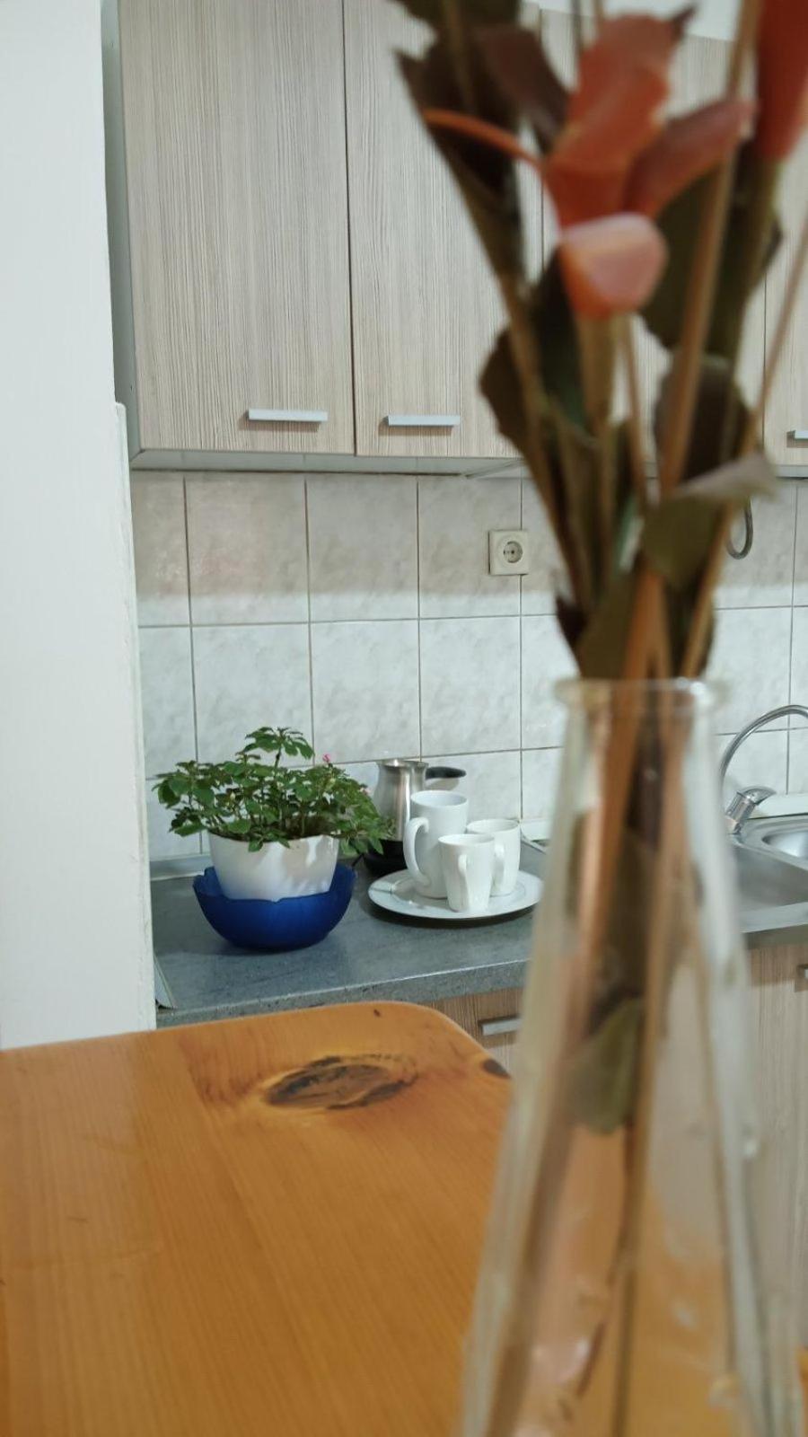 Villa Re3Ca Skopje Extérieur photo